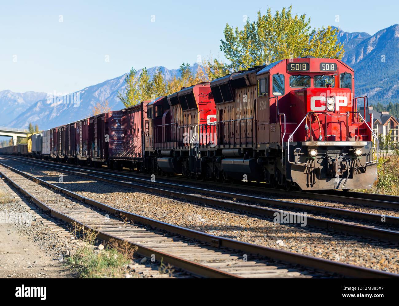 Ein Güterzug aus dem kanadischen Pazifik, der durch die Stadt Invermere, BC, fährt. Stockfoto