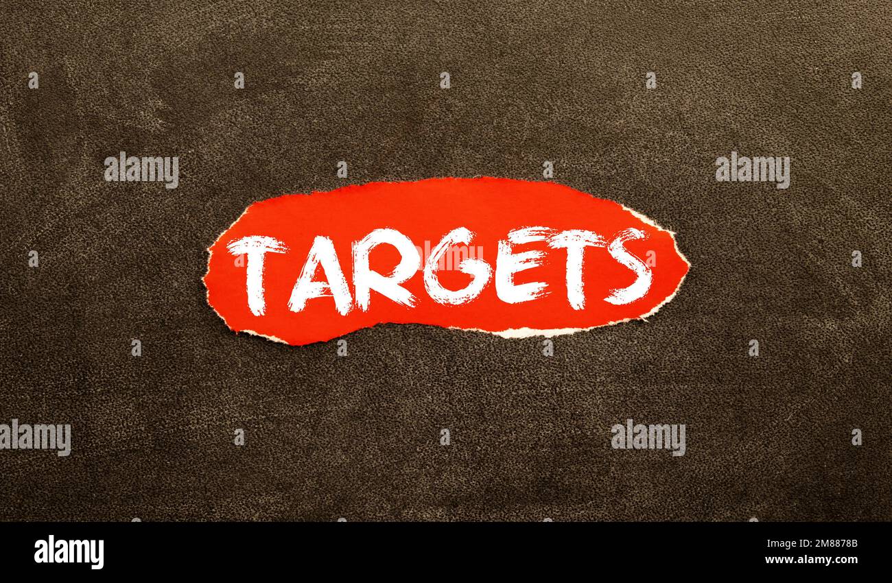 ZIELTEXT auf Holzwürfeln auf weißem Hintergrund. Stockfoto