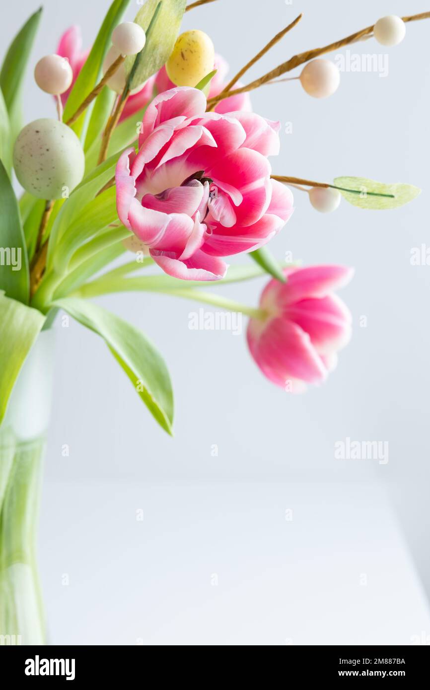 Frischer Strauß rosafarbener Tulpen mit einem Zweig ostereier auf weißem Hintergrund mit Kopierbereich Stockfoto