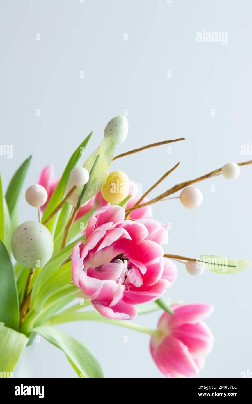 Frischer Strauß rosafarbener Tulpen mit einem Zweig ostereier auf weißem Hintergrund mit Kopierbereich Stockfoto