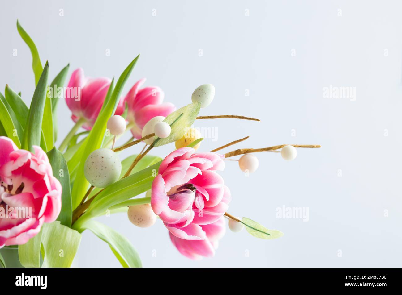 Frischer Strauß rosafarbener Tulpen mit einem Zweig ostereier auf weißem Hintergrund mit Kopierbereich Stockfoto