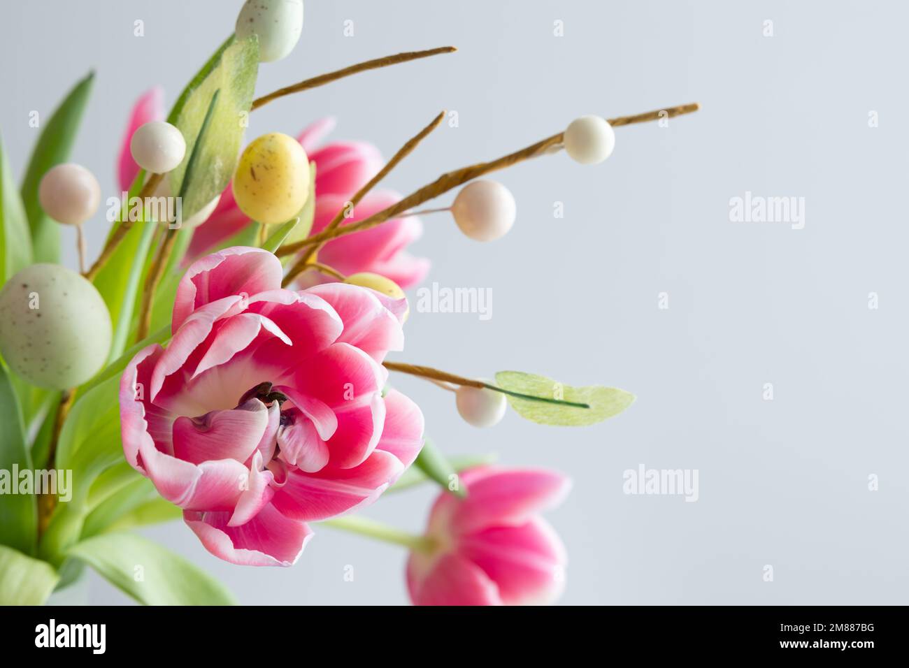 Frischer Strauß rosafarbener Tulpen mit einem Zweig ostereier auf weißem Hintergrund mit Kopierbereich Stockfoto