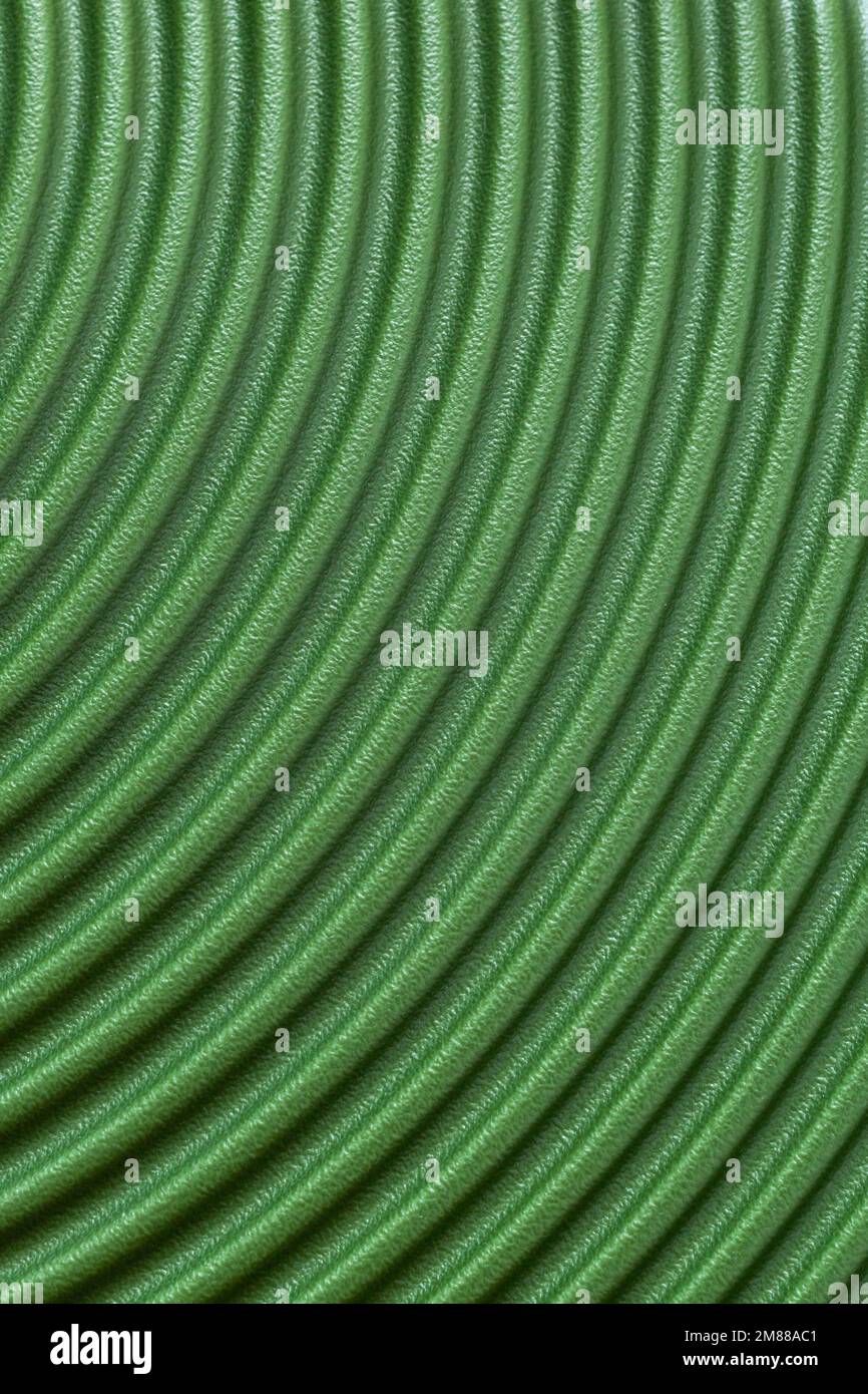 Hellgrün gekrümmter, gestreifter Hintergrund mit abstrakten horizontalen Linien Stockfoto