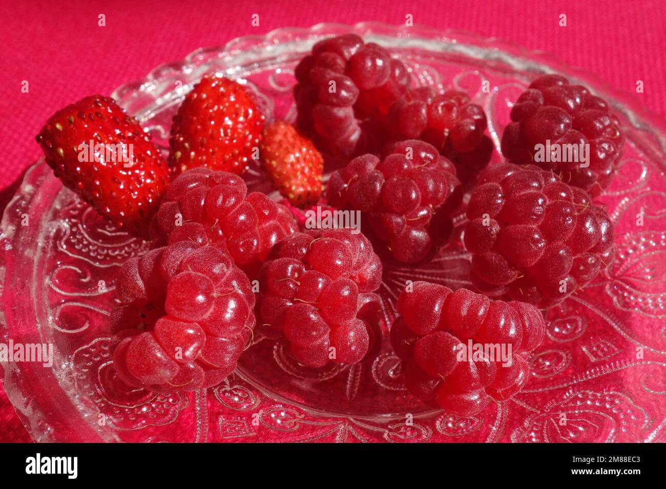 Frische Himbeeren und Erdbeeren Früchte gesunde Snacks. Ein Haufen roter Beeren auf einer verzierten Glasuntertasse auf einem magentafarbenen Tuch Stockfoto