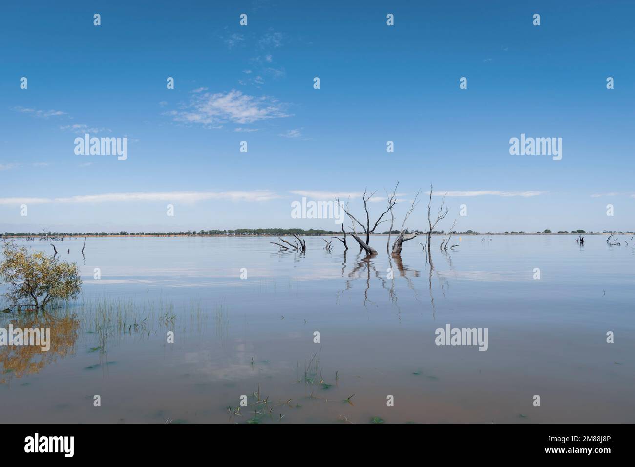 Taylors Lake ist ein toller Ort zum Angeln oder Campen Stockfoto