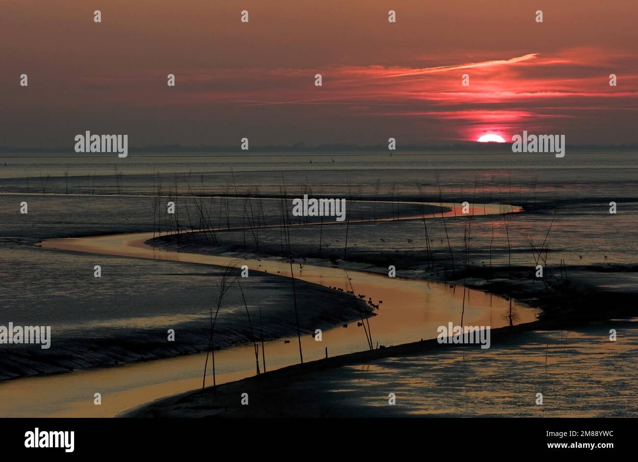 Schiffskanal in den Schlammgebieten für Garnelentrawler in Wremertief bei Sonnenuntergang, Bezirk Cuxhaven, Deutschland Stockfoto