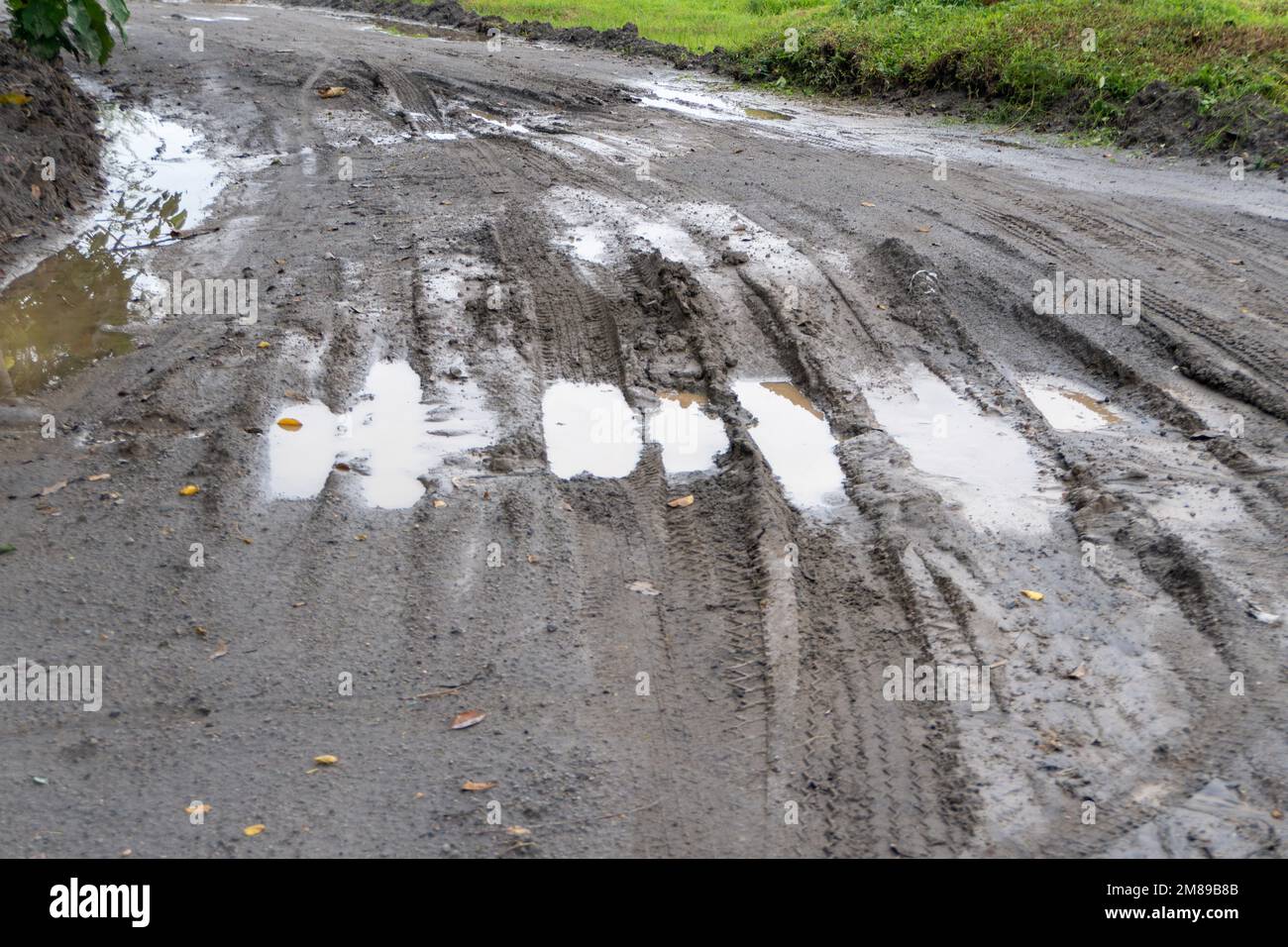 Durchbrochene schlammige Straße inmitten einer Plantagenlandschaft Stockfoto