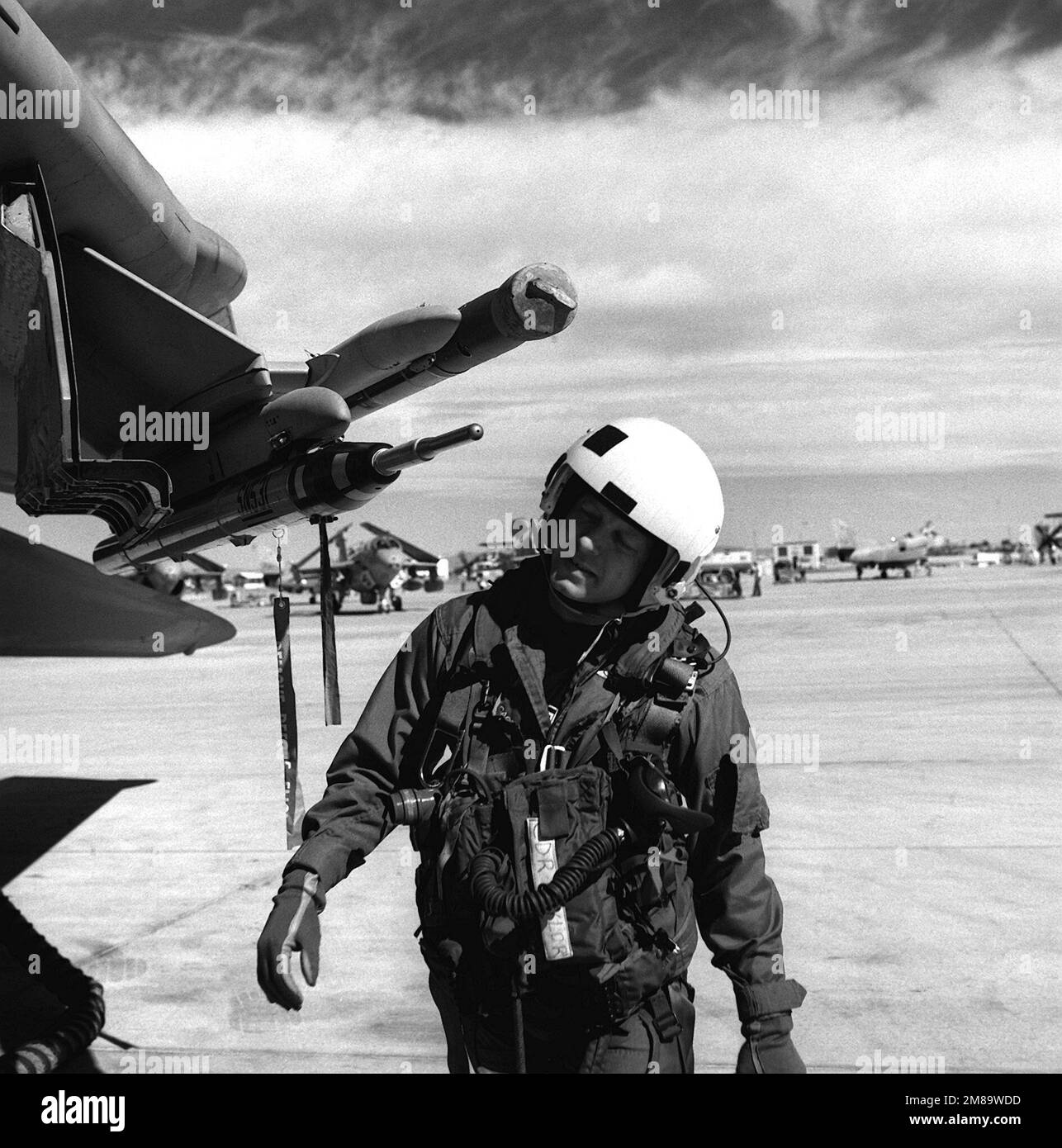 CDR R.M. „Bud“ Taylor, stellvertretender Befehlshaber, Carrier Air Wing 1 (CVW-1), führt während des CVW-1-Angriffstrainings eine Vorflugkontrolle eines F-14A Tomcat-Flugzeugs durch. Basis: Marine Air Station, Fallon Staat: Nevada (NV) Land: Vereinigte Staaten von Amerika (USA) Stockfoto