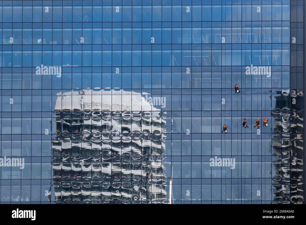 Fensterputzer an einem Melbourne-Himmelskratzer. Stockfoto