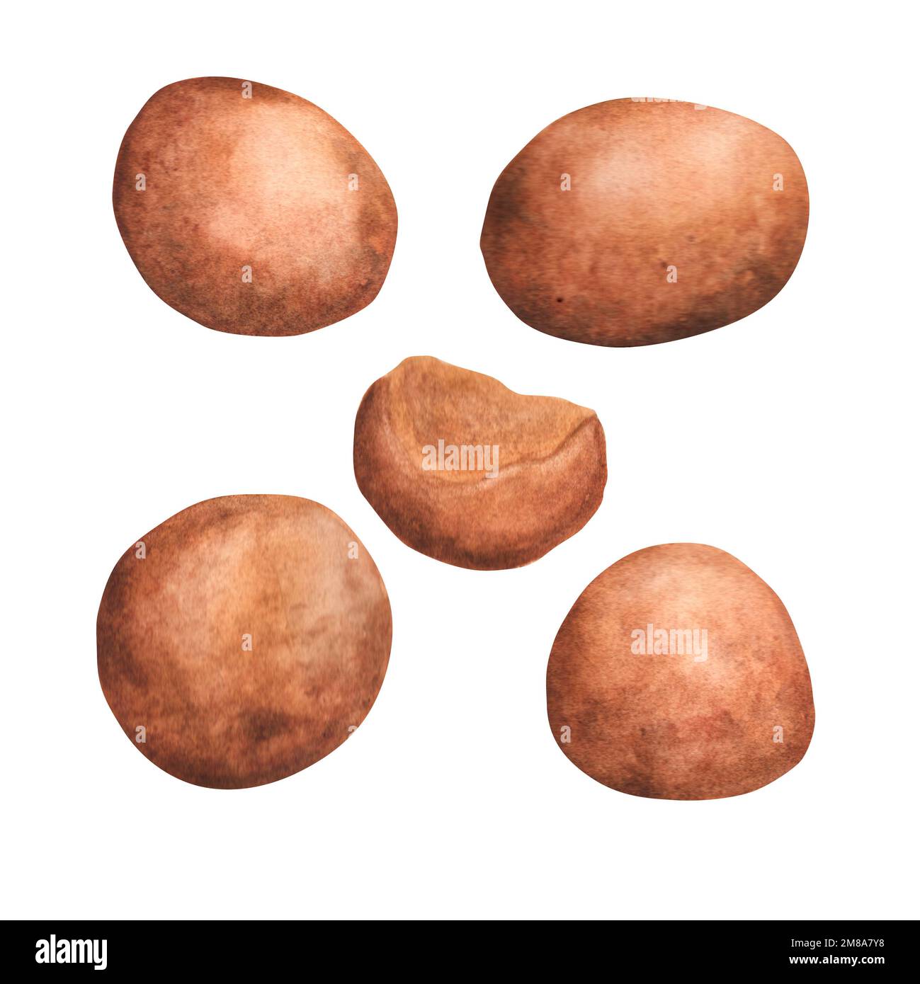 Handgemalte Aquarell-indische Essensladoo. Traditionelles Holi-Essen Stockfoto