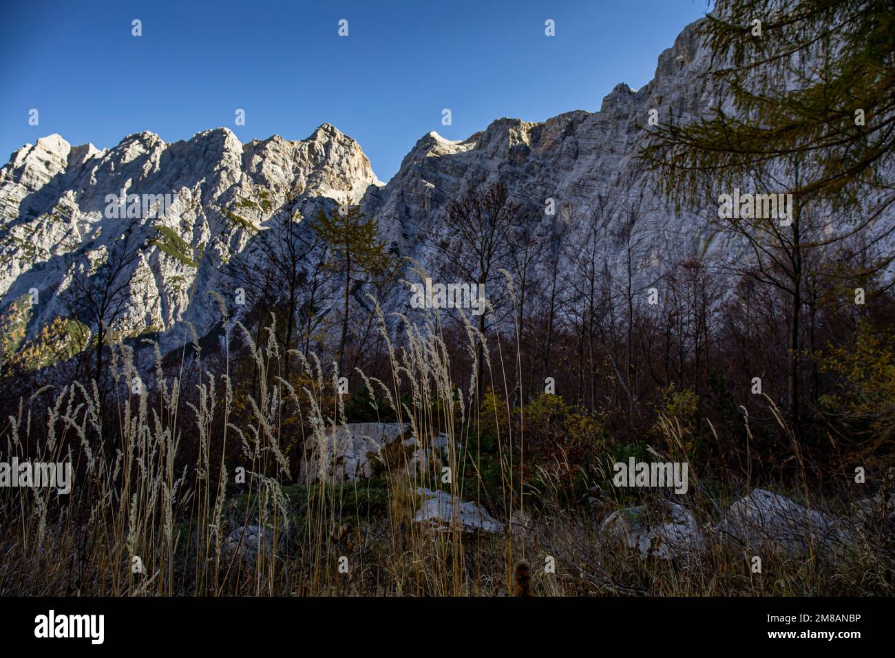 Wanderung Križ - Stenar - Bovški gamsovec, Julianische alpen, Slowenien Stockfoto