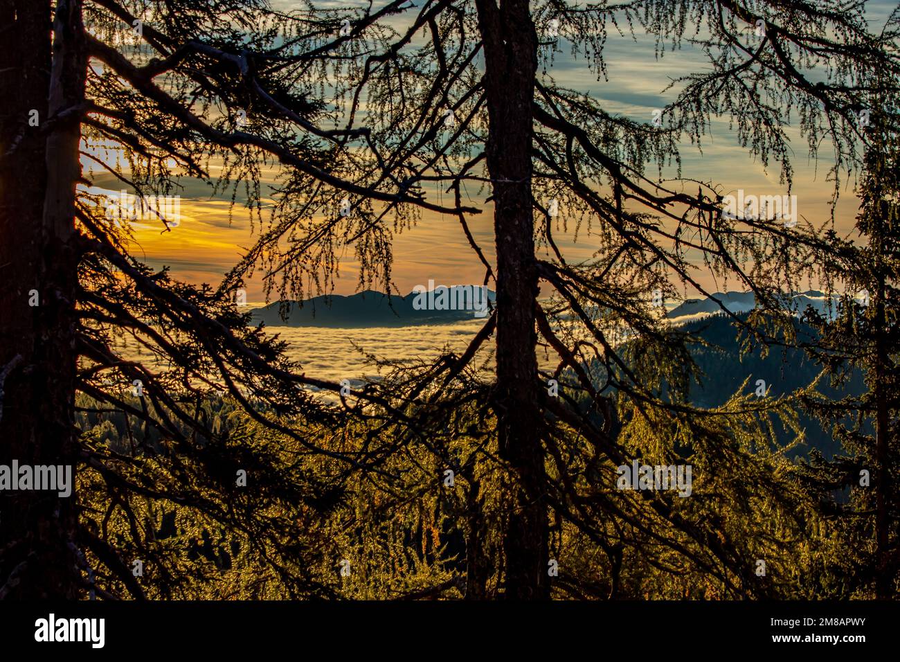 Sonnenaufgang in den Bergen, Bohinj-Tal, Slowenien Stockfoto