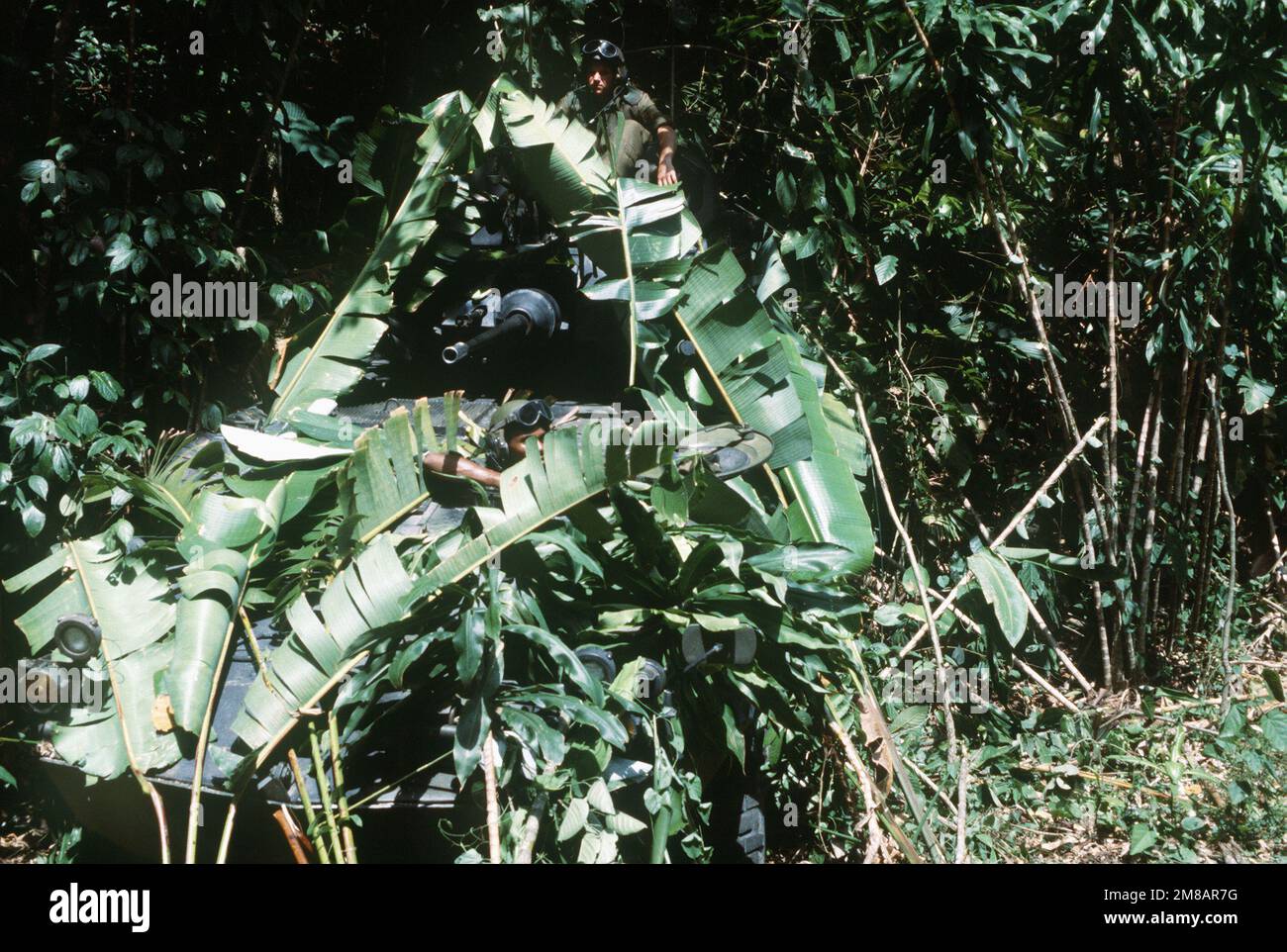 Die Marines halten Wache von ihrem gut getarnten LAV25 leichten gepanzerten Fahrzeug (LAVS), während sie in der Nähe des Kanals auf ein Landungsschiff warten. Land: Panama (PAN) Stockfoto