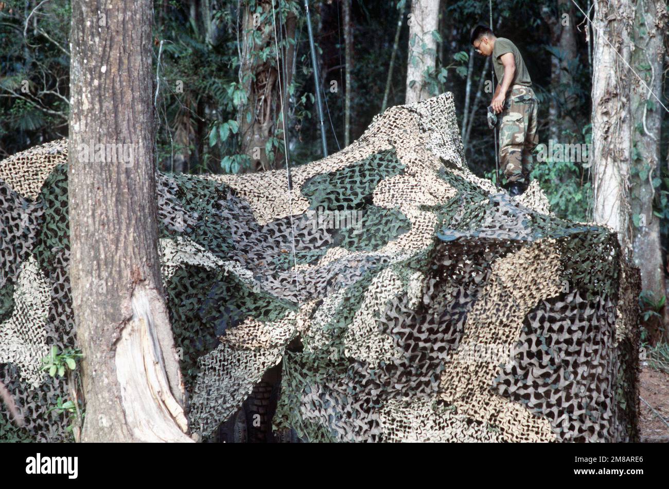 Ein Marine stellt eine Radioantenne auf einem leichten gepanzerten LAV25-Fahrzeug (LAV) ein, das vollständig durch ein Tarnnetz verborgen ist. Land: Panama (PAN) Stockfoto