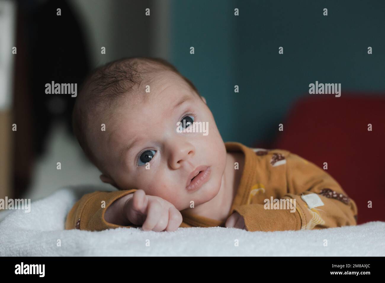Süßer kleiner Junge im Alter von 3 bis 6 Monaten, der auf dem Bauch liegt und mit einem ernsten Gesichtsausdruck in die Kamera schaut Stockfoto