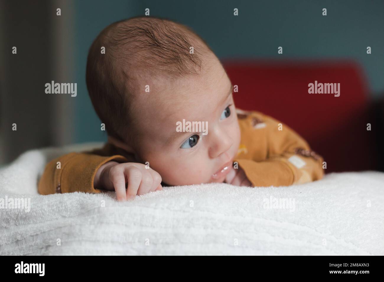 Süßer kleiner Junge im Alter von 3 bis 6 Monaten, der auf dem Bauch liegt und von der Kamera wegsieht, mit einem ernsten Gesichtsausdruck Stockfoto