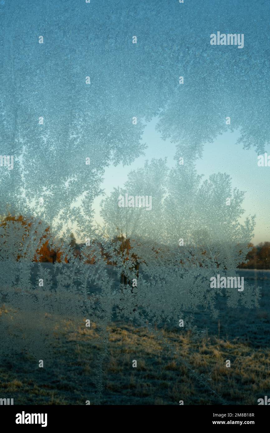 Frostmuster auf der Glasscheibe. Milchglas mit blauem Himmel dahinter. Empfindliche Kristalle, die sich bei kaltem Wetter bilden. Stockfoto