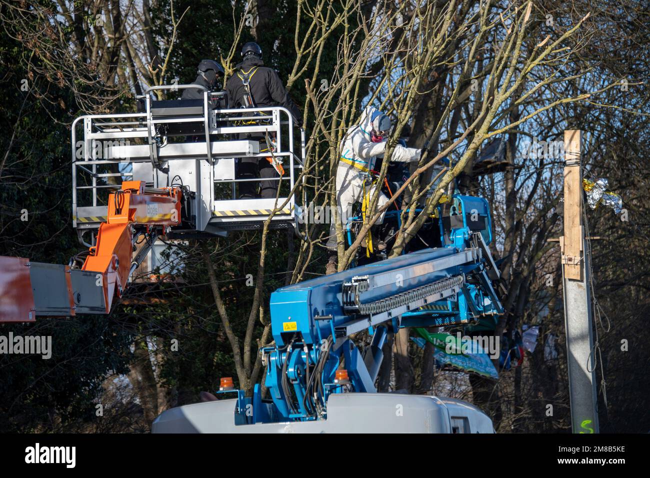Polizisten nehmen einen Aktivisten aus einem Baum mit einer Hebebühne, die Polizei begann heute, das Dorf Luetzerath zu räumen, am 11. Januar 2023, das Dorf Luetzerath an der Westseite des Garzweiler-Braunkohlebergwerks wird im Januar 2023 ausgegraben, Luetzerath, am 11. Januar 2023 , Stockfoto