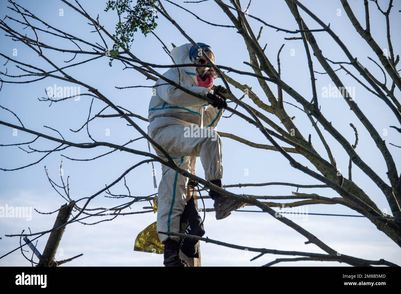 Polizisten nehmen einen Aktivisten aus einem Baum mit einer Hebebühne, die Polizei begann heute, das Dorf Luetzerath zu räumen, am 11. Januar 2023, das Dorf Luetzerath an der Westseite des Garzweiler-Braunkohlebergwerks wird im Januar 2023 ausgegraben, Luetzerath, am 11. Januar 2023 , Stockfoto