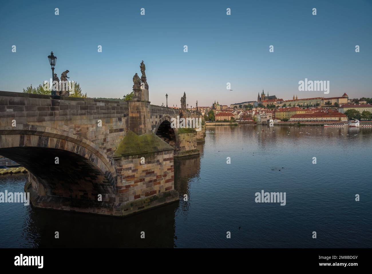 Karlsbrücke und Skyline der Prager Burg auf der Moldau - Prag, Tschechische Republik Stockfoto
