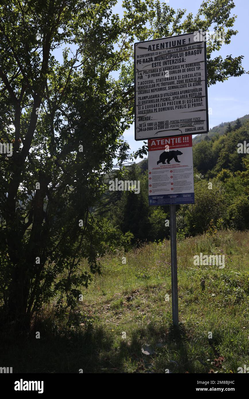 Warnschild gegen Bären (auf Rumänisch) auf dem Berg Tampa in Brașov, Rumänien Stockfoto