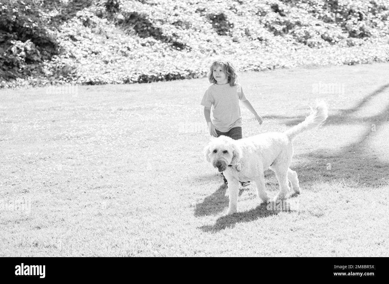 Glückliches Kind spielen mit Hund. Junge und Haustier entspannen zusammen. Adoption und Nächstenliebe. Tier Tag. Stockfoto