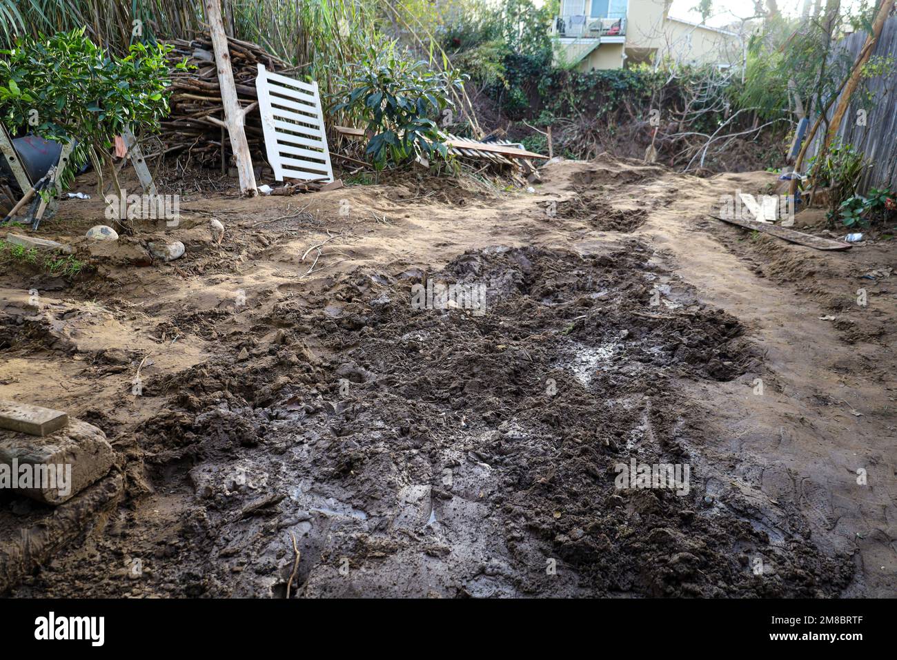 Santa Barbara, Kalifornien, USA 12. Januar 2023. Schlammige Hinterhöfe eines Hauses, das bei den jüngsten Regenfällen überflutet wurde. Es liegt an einem Bach, auf der Westseite von Santa Barbara. (Kreditbild: © Amy Katz/ZUMA Press Wire) NUR REDAKTIONELLE VERWENDUNG! Nicht für den kommerziellen GEBRAUCH! Stockfoto