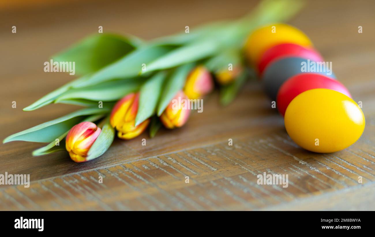Ostergrußkarte mit Eiern und Tulpen Stockfoto