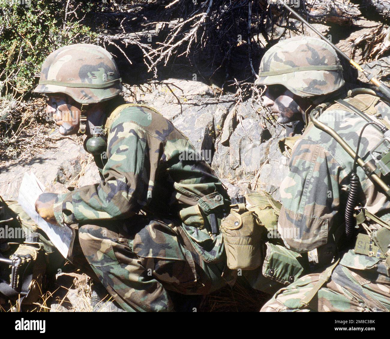 Mitglieder des 3. Bataillons, 9. Marines, knieten im Gebüsch während einer Übung im Mountain Warfare Training Center. Basis: Bridgeport Bundesstaat: Kalifornien (CA) Land: Vereinigte Staaten von Amerika (USA) Stockfoto