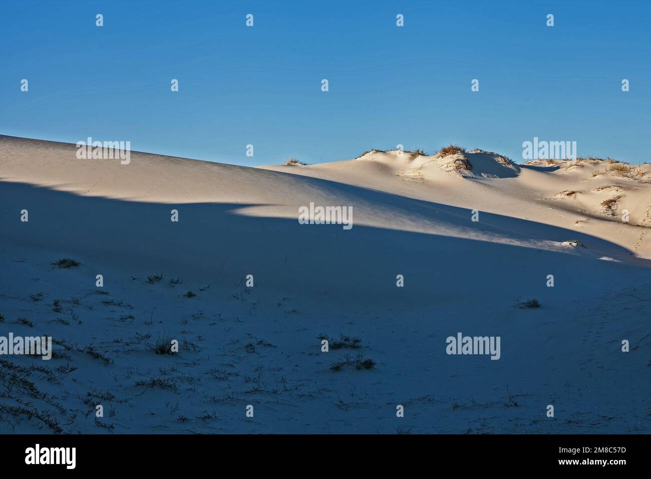 Weiße Sanddünen entlang der Atlantikküste von Namaqualand. Stockfoto