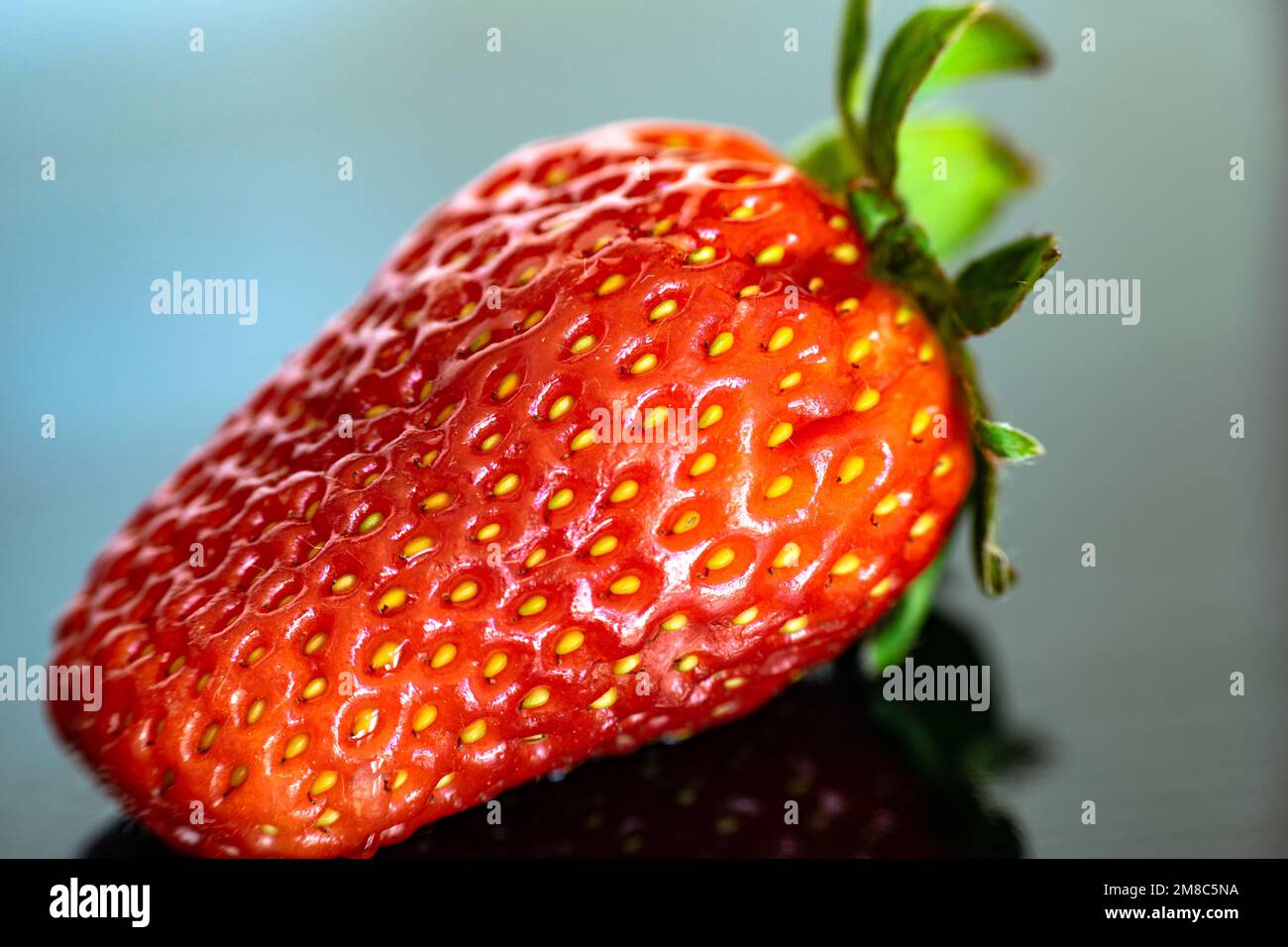 Eine ganze rote Erdbeere lag auf einer reflektierenden Oberfläche Stockfoto