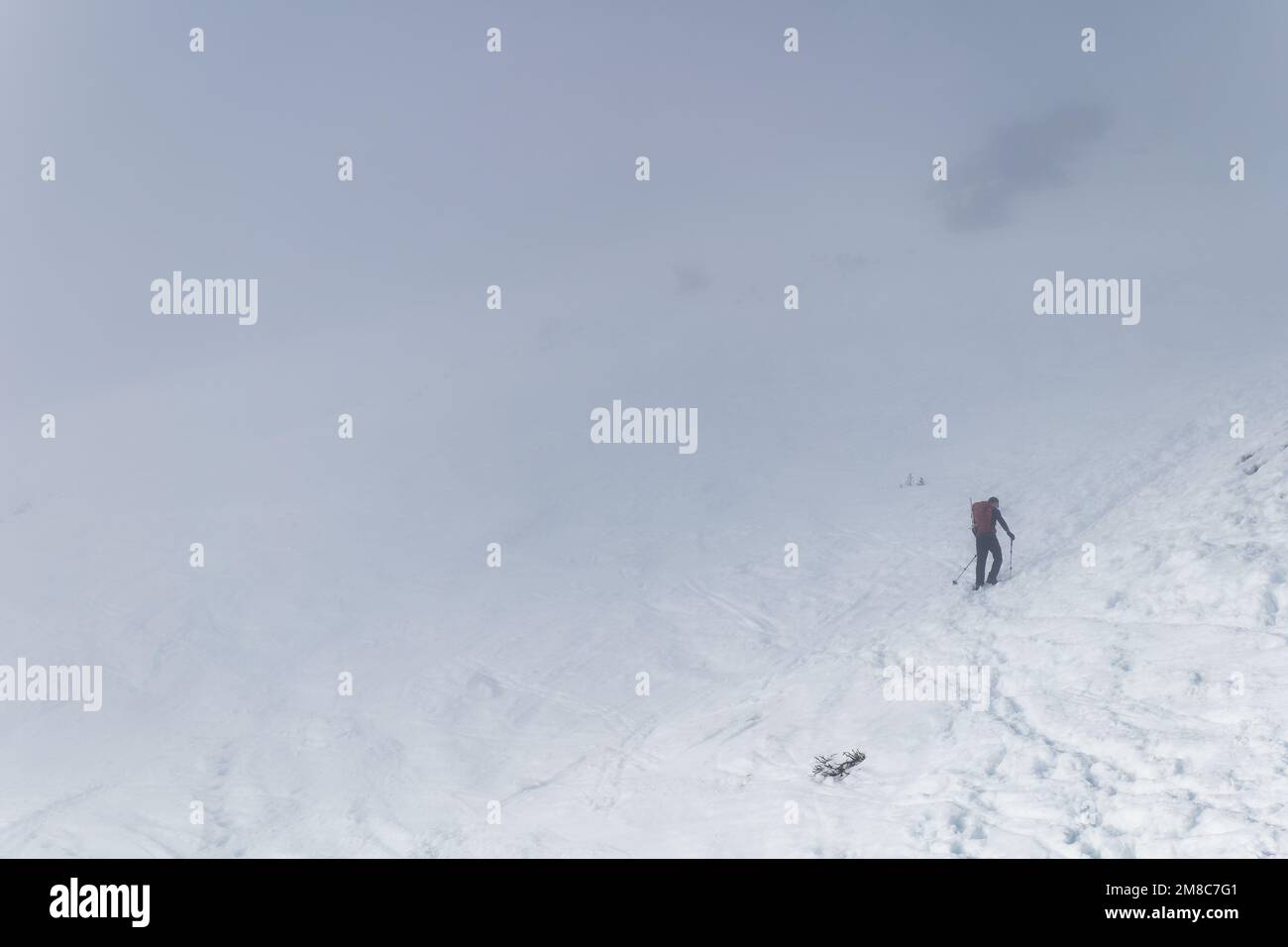 Ein Solo-Bergsteiger, der an einem Wintertag in den Bergen im Nebel gefangen war und nach dem Gipfel strebte. Anspruchsvolle und schwierige Bedingungen für Winterwanderungen. Stockfoto