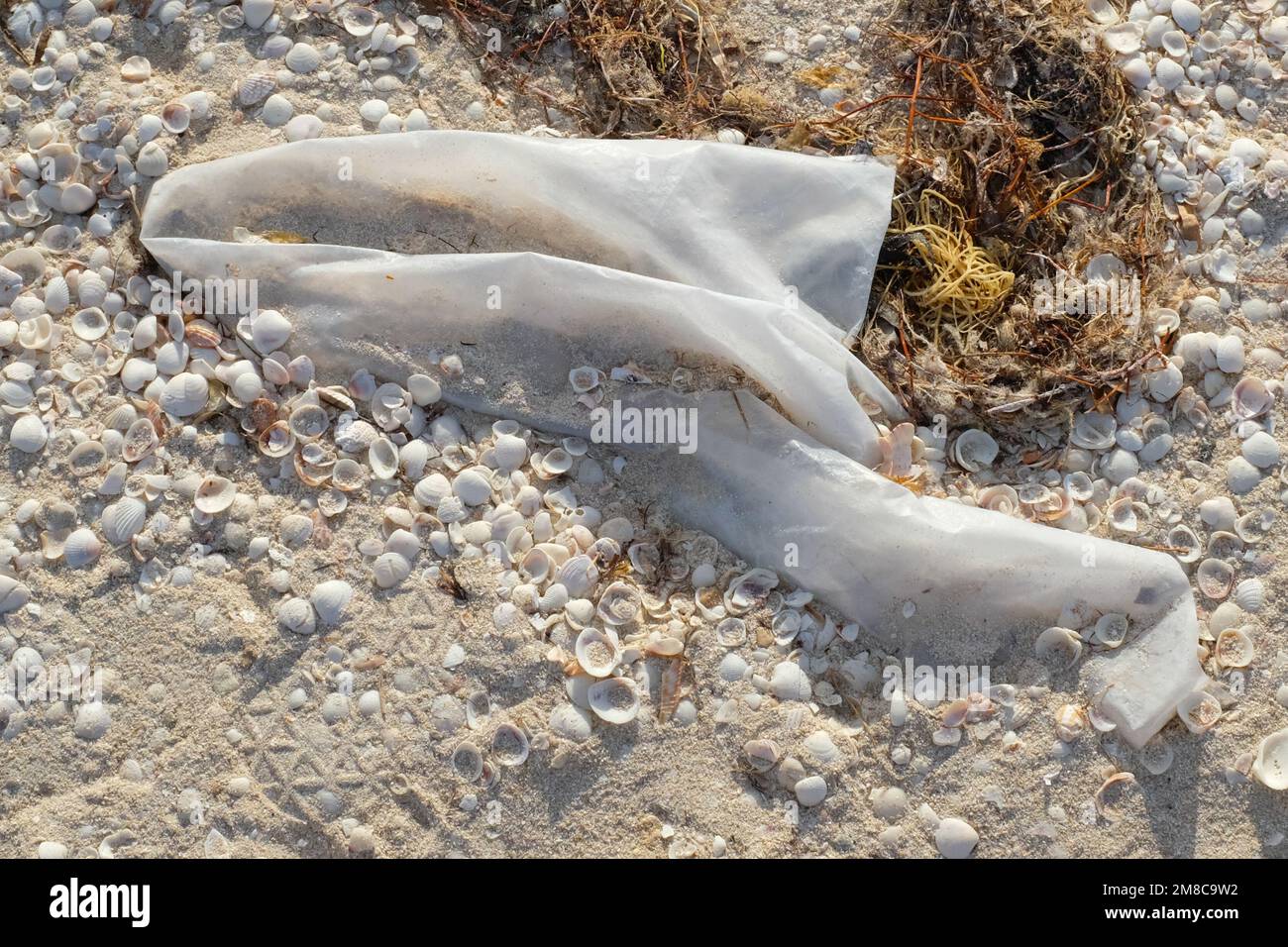 Plastiktüte am Strand Stockfoto