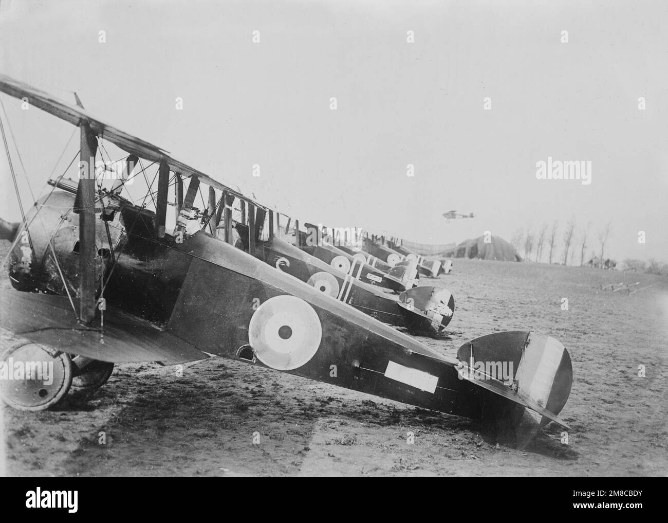 Oldtimer-Foto um 1918 von einer Linie britischer Sopwith Camel-Kampfflugzeuge auf einem Flugplatz in Nordfrankreich während des Ersten Weltkriegs. Stockfoto