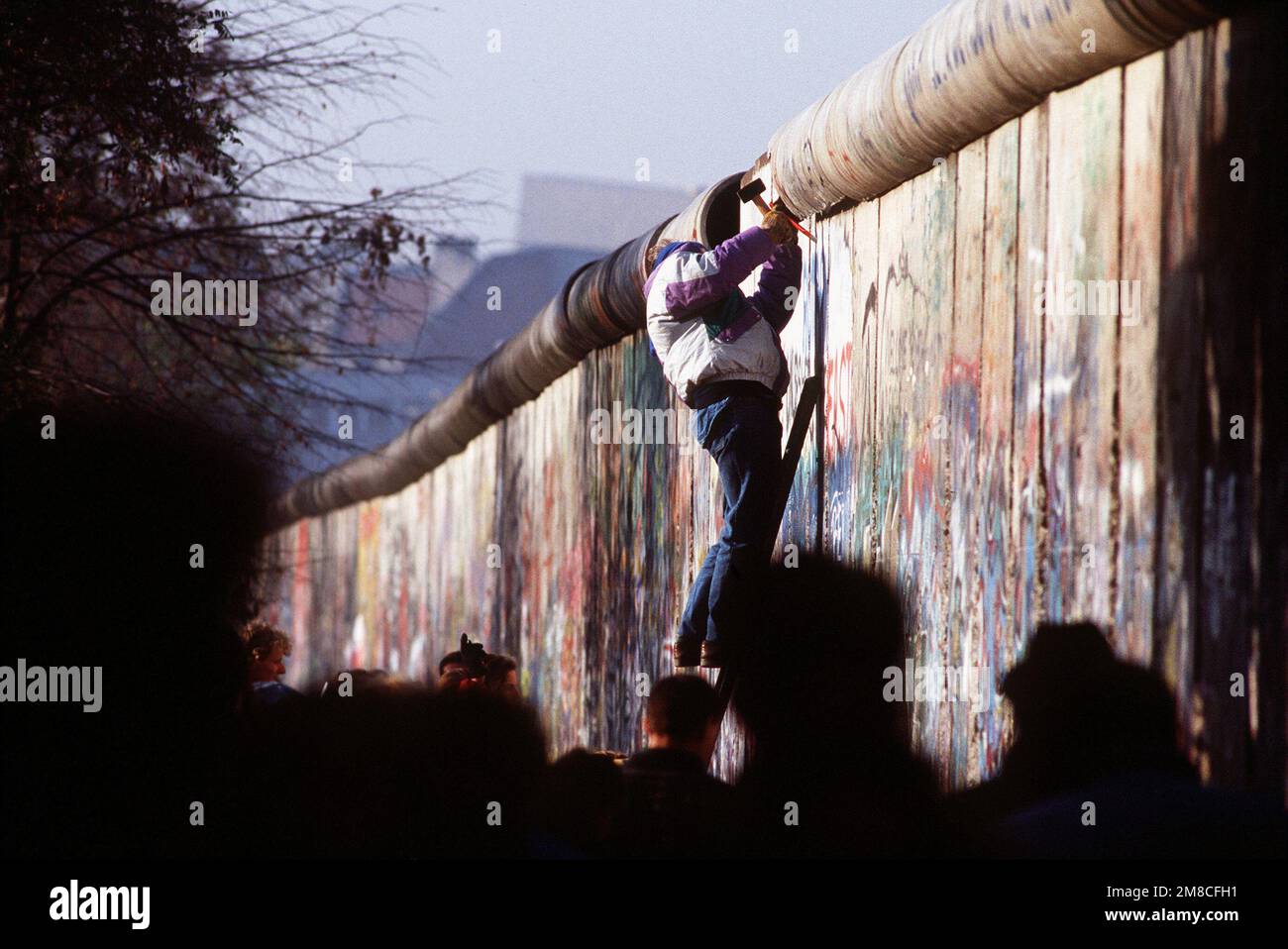 Ein westdeutscher Mann verwendet Hammer und Meißel, um ein Stück der Berliner Mauer als Souvenir abzuschlagen. Ein Teil der Mauer wurde bereits am Potsdamer Platz abgerissen. Basis: Berlin Land: Deutschland / Deutschland (DEU) Stockfoto