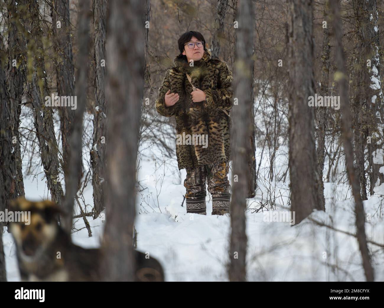 (230113) -- GENHE, 13. Januar 2023 (Xinhua) -- Juele sucht nach seinem Rentier im Jinhe Forest Range nahe Genhe City, Nordchina's innere Mongolei Autonome Region, 12. Januar 2023. Alle zwei oder drei Tage fährt Juele Bulituotian zum Jinhe-Waldgebiet etwa 80 Kilometer von Genhe City entfernt. Dort wird der 39-jährige Aoluguya Ewenki-Hirte, der einen traditionellen Pelzmantel trägt, sein forschendes Rentier finden. Anstatt Rentiere in einer Scheune zu halten, lassen die Ewenki-Hirten die Tiere im Wald leben und überprüfen sie alle paar Tage. Juele besitzt über 60 Rentiere. Er wird seine Zügel rufen Stockfoto