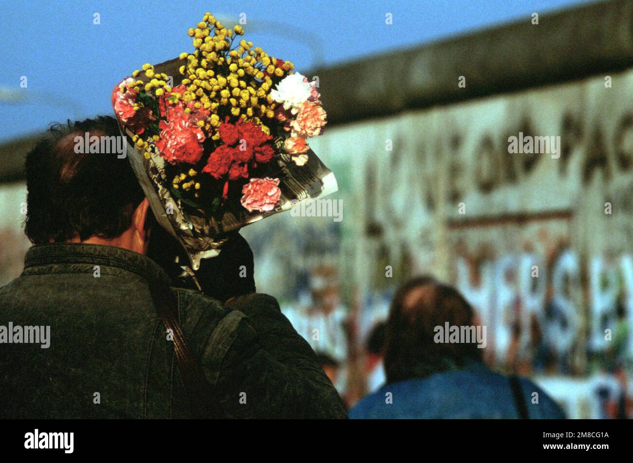 Ein Besucher bringt Blumen zum Platz an der neu geschaffenen Öffnung der Berliner Mauer am Potsdamer Platz. Basis: Berlin Land: Deutschland / Deutschland (DEU) Stockfoto