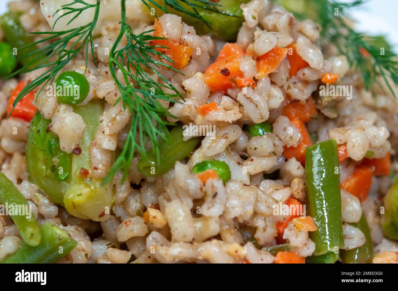Vegetarischer Gerstenporridge mit knusprigen Perlen und Gemüse, Rosenkohl, grüne Bohnen, Blumenkohl, Karotten und Dill. Kochen gesunder und diätetischer Lebensmittel. Stockfoto