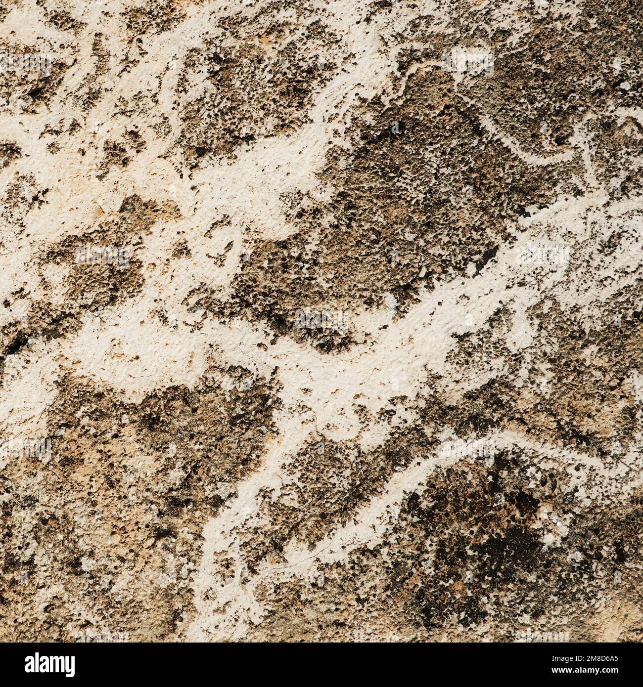 Natürlicher rauer Stein Hintergrund Grau und Weiß hohe Auflösung. Sepia-Marmor mit weißen Adern. Natürliches Granitmuster für den Hintergrund. Steinplatten-Fliesen Stockfoto