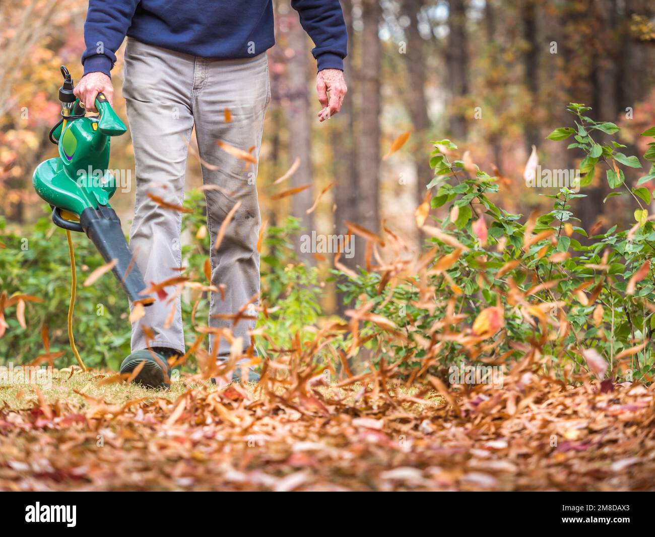 Mann, der ein elektrisch angetriebenes Laubbläser verwendet, um Herbstblätter vom Rasen zu blasen. Landschaftsarbeiter, der Herbstblätter aus dem Wohnhof räumt. Stockfoto