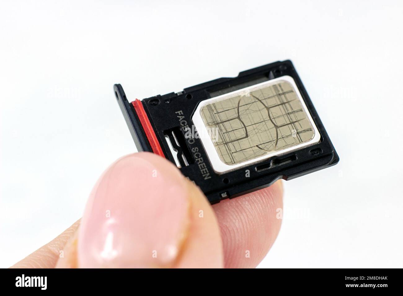 Weibliche Hände Stecken Sie die SIM-Karte des Telefons aus der Nähe des Smartphones in den Halter. Stockfoto