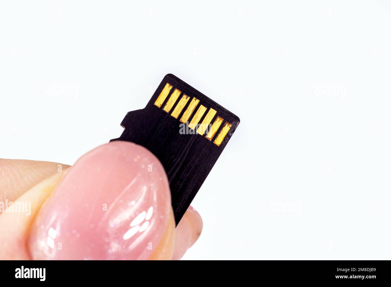 Kaputte Micro-sd-Speicherkarte mit rostigen Kontakten auf dem Chip in den Händen der Frau. Stockfoto