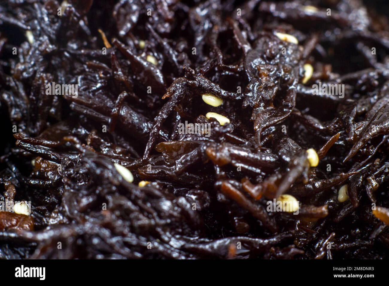 Japanischer brauner Algensalat Hijiki mit Sesamkörnern nähert sich als asiatische Lebensmittelstruktur. Stockfoto