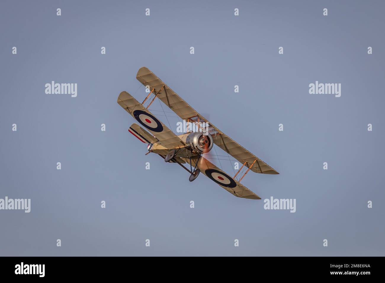 Sopwith Pup 9917 G-EBKY, Old Warden Airfield, Biggleswade, Bedfordshire, Vereinigtes Königreich Stockfoto