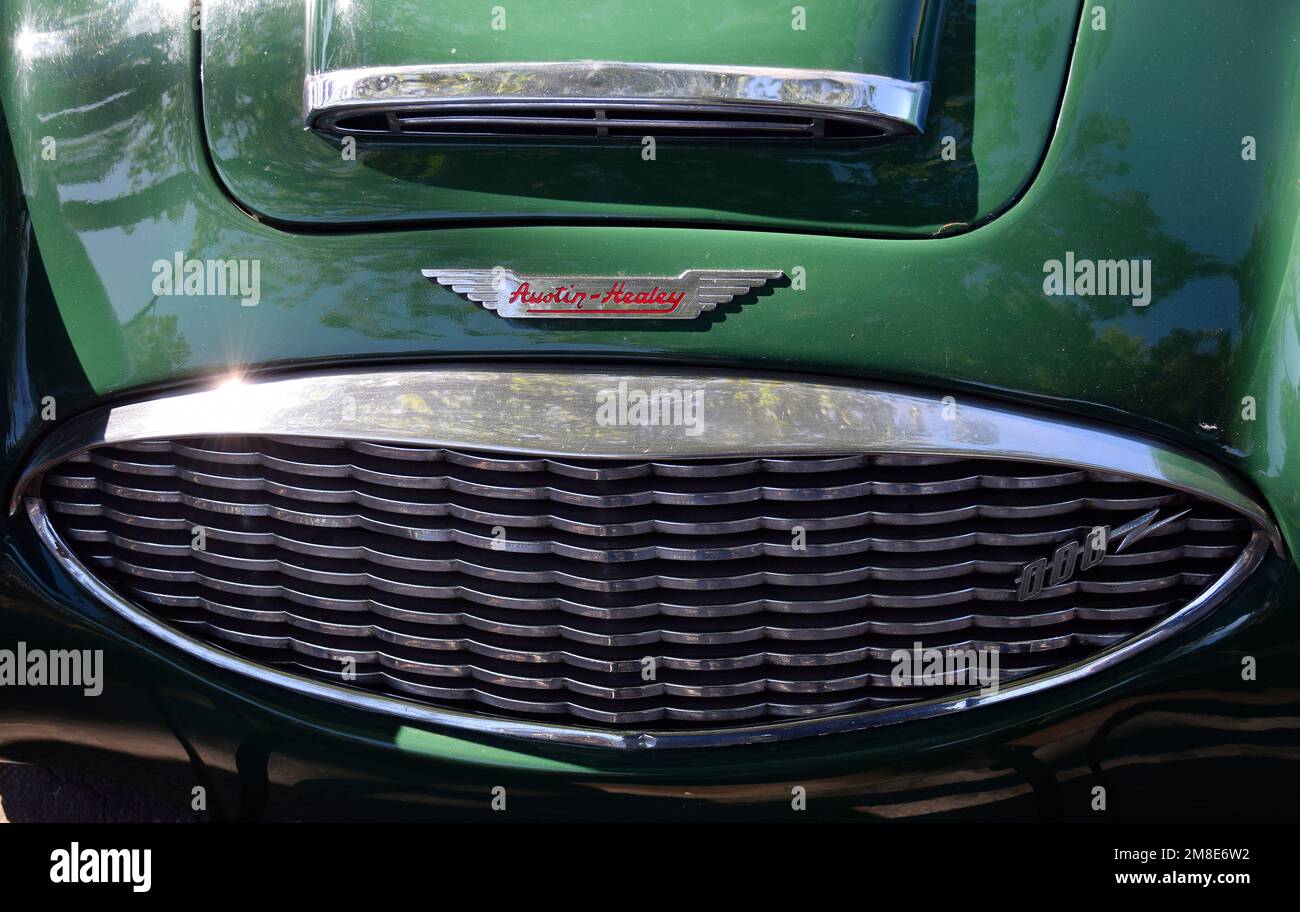 Austin-Healey-Sportwagen-Frontgrill, aufgesetztes Abzeichen Stockfoto