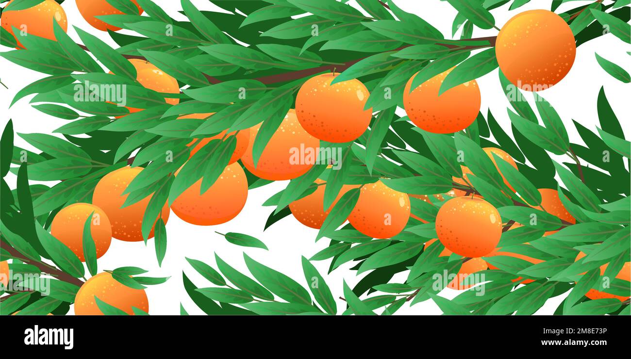 Äste Orangenbaum mit reifer Frucht wunderschön. Gartenpflanze mit essbarer Ernte. Nahtlose Musterzusammenstellung. Zweig mit Laub und Blättern Stock Vektor