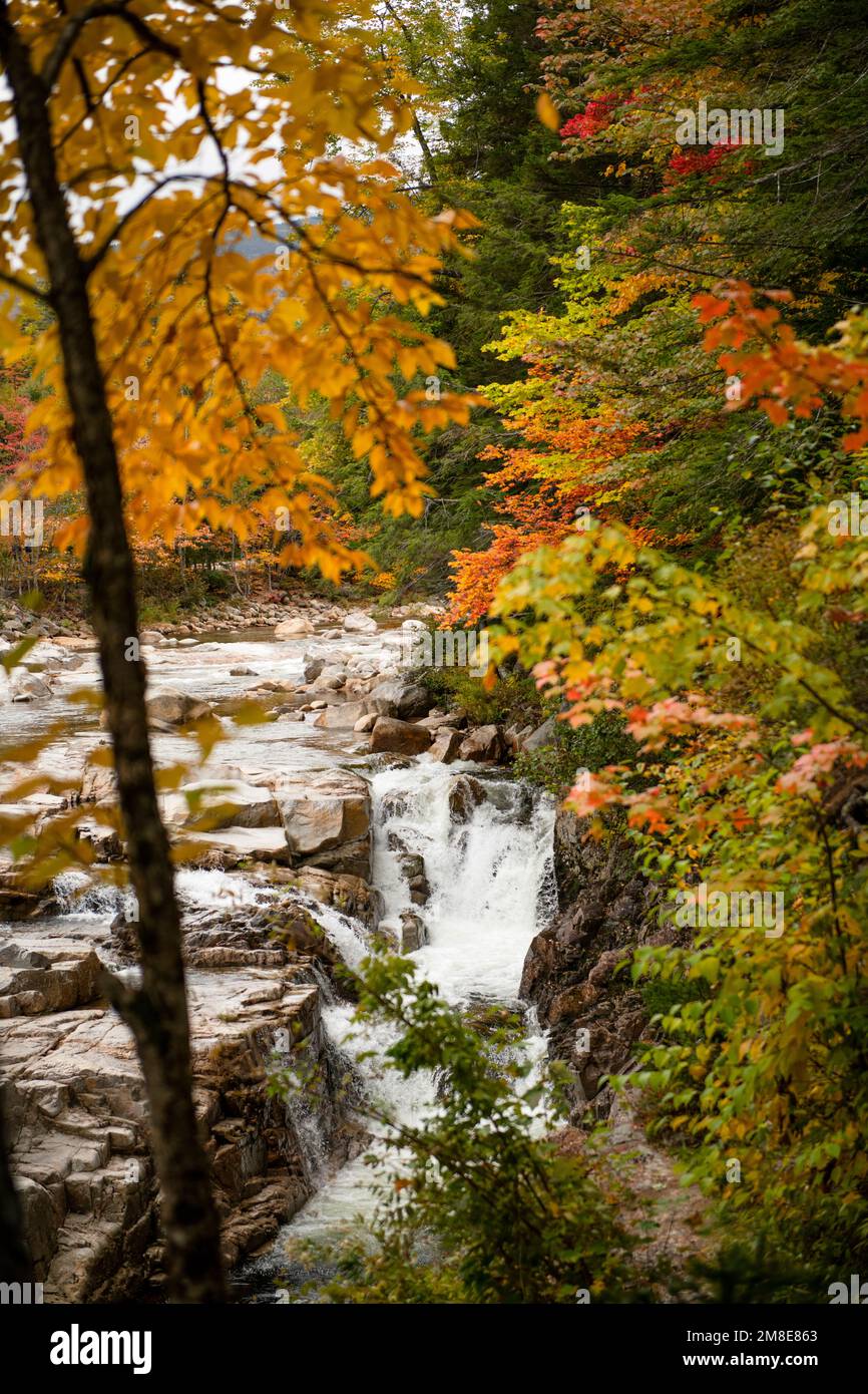 Details zum Herbstlaub am Kancamagus Highway in New Hampshire Stockfoto