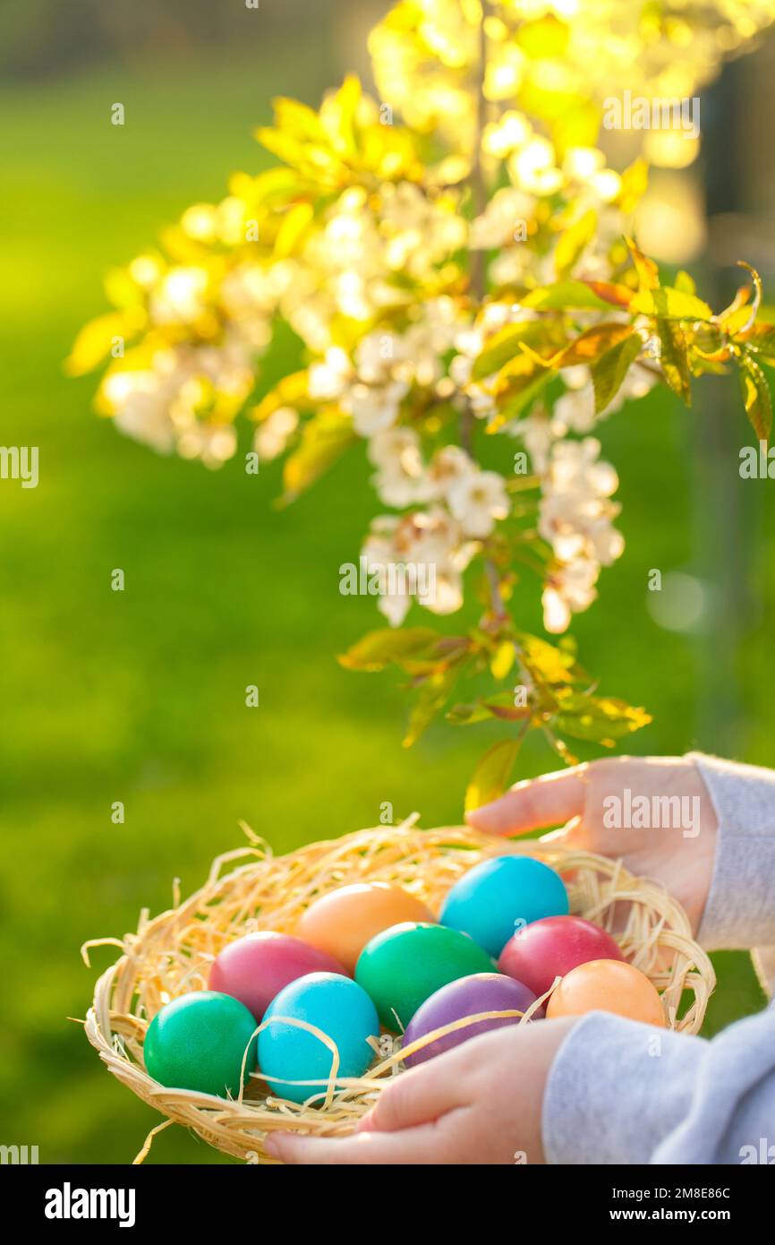 Frohe ostern. Bunte Eier in einem Korb ostereierjagd. Stockfoto