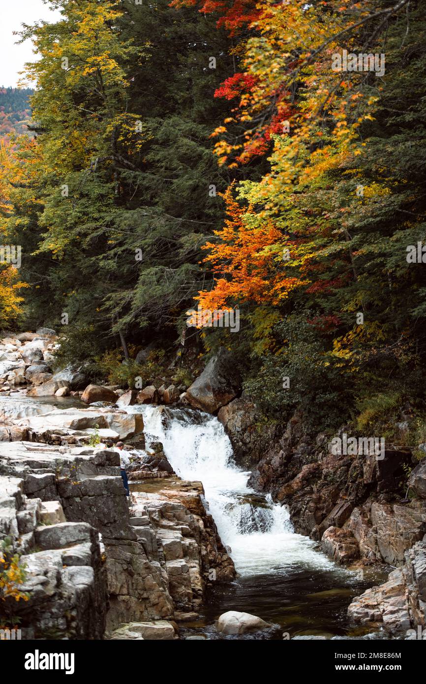 Details zum Herbstlaub am Kancamagus Highway in New Hampshire Stockfoto