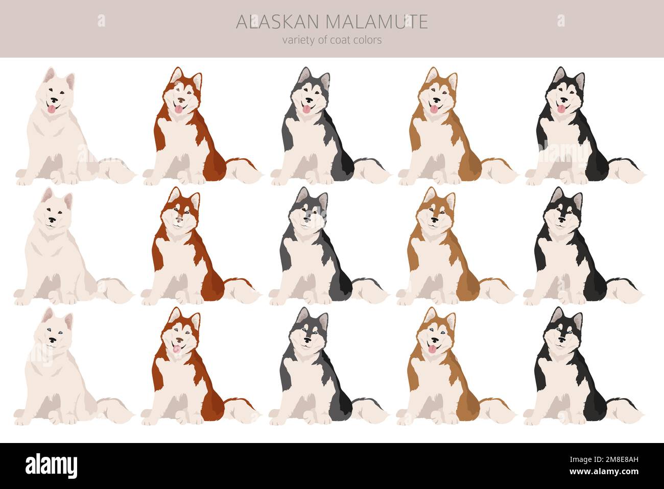 Alaskan Malamute alle Farben Clipart. Verschiedene Fellfarben und Posen eingestellt. Vektorgrafik Stock Vektor